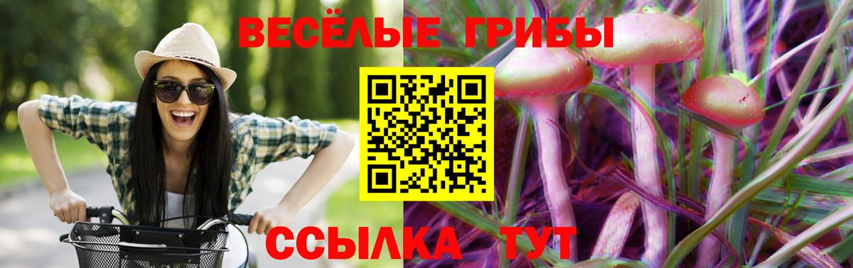Родники  Галлюциногенные грибы GOLDEN TEACHER  Вход с VPN 